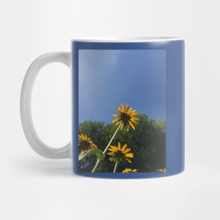 Black-Eyed Susans, autumn yellow flowers, blue sky Mug